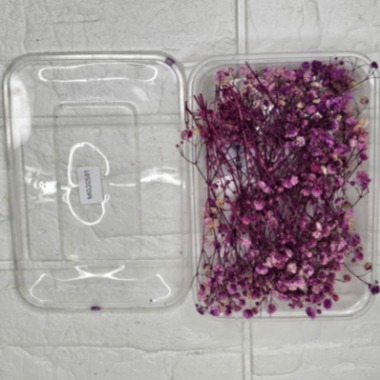 Dry Flower Box #20581