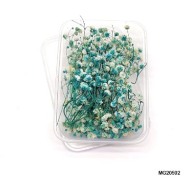 Dry Flower Box #20592