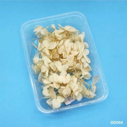 Dry Flower Box #DD088