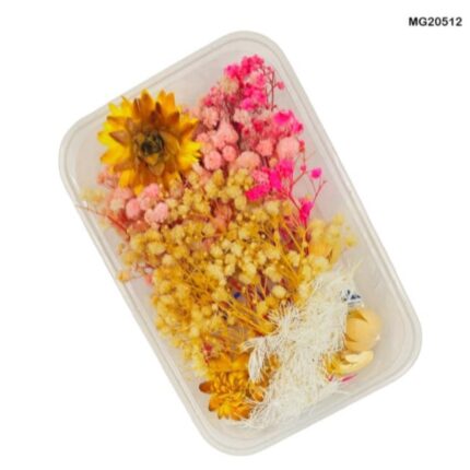 Dry Flower Box #20512