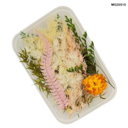 Dry Flower Box #20515