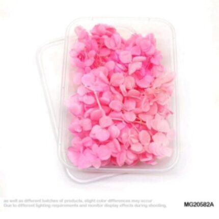 Dry Flower Box #20582A