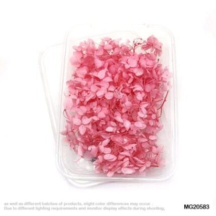 Dry Flower Box #20583