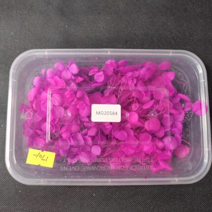 Dry Flower Box #20584