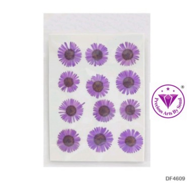 Pressed Chrysanthemum Flower #9