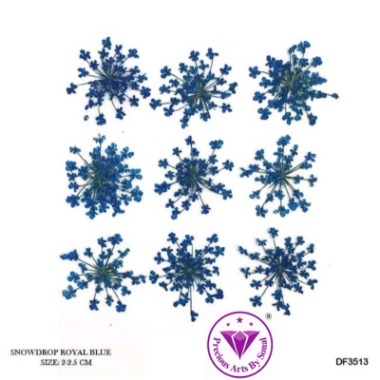 Pressed Lace Flower #13